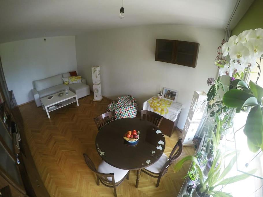 Beautiful Flat In Central Location By Flat Mаnager Sofia Exterior photo